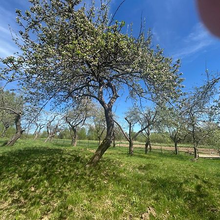 Swietokrzyski Klimacik Bodzentyn Bagian luar foto