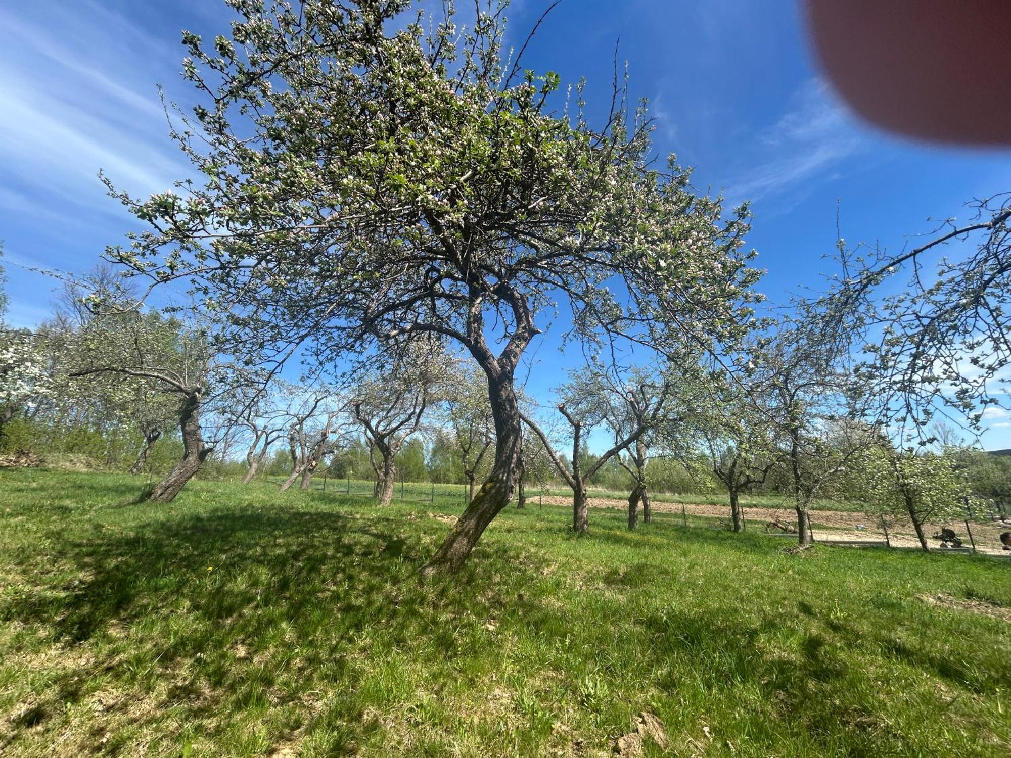 Swietokrzyski Klimacik Bodzentyn Bagian luar foto